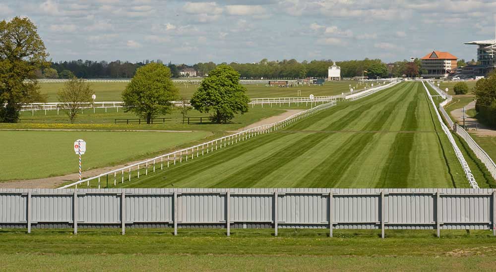 York Racecourse